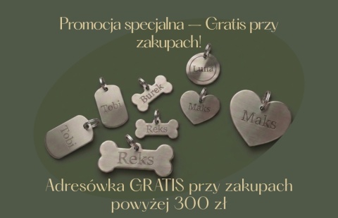 Adresówka dla psa